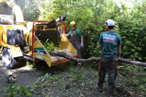 tree services Belle Plaine